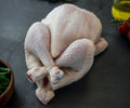 Hele Kip (~1,3 kg)