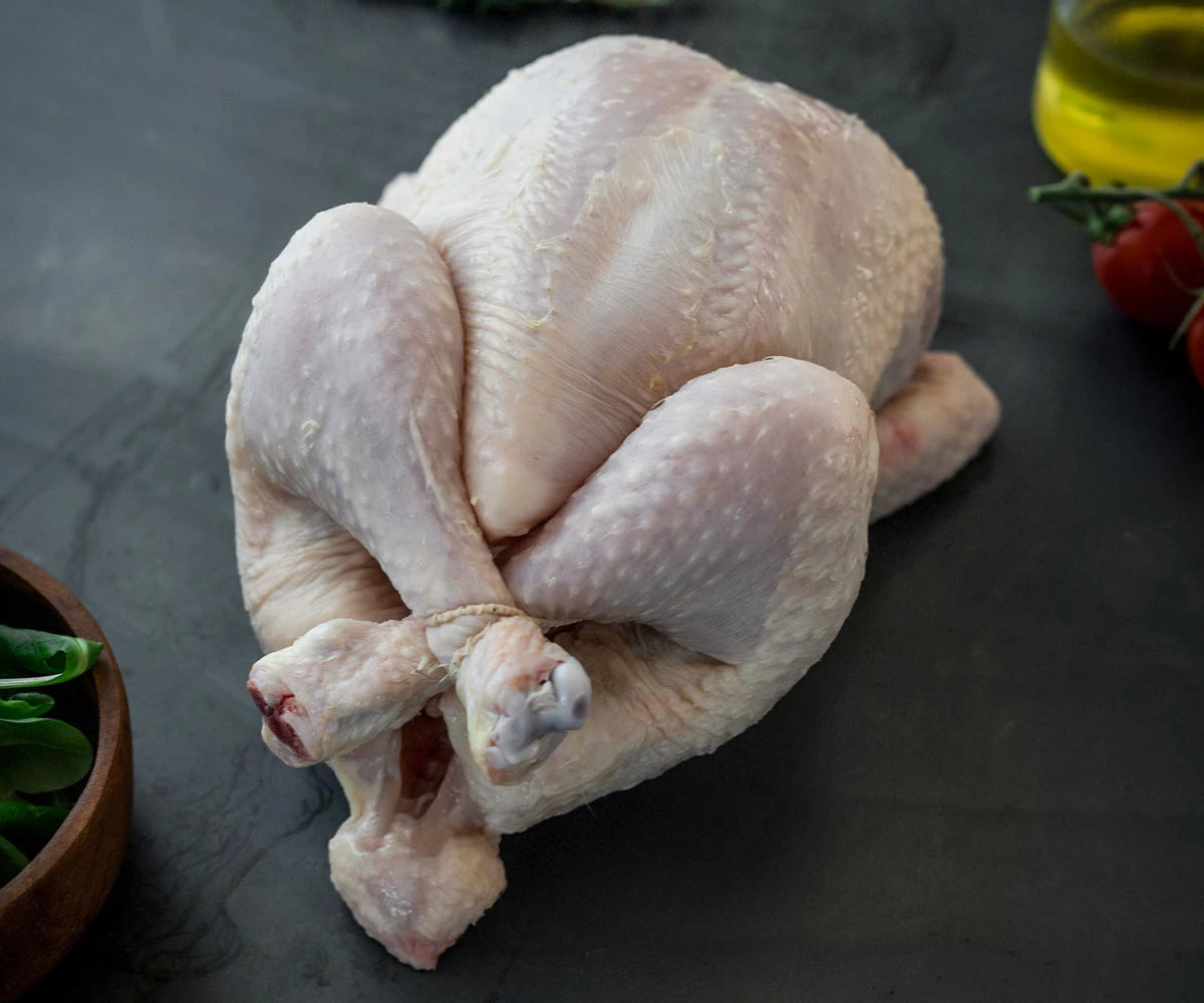 Hele Kip (~1,3 kg)